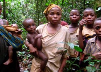 Journée internationale des peuples autochtones : Rôle de PA dans la protection de la biodiversité et de la diversité culturelle et linguistique.