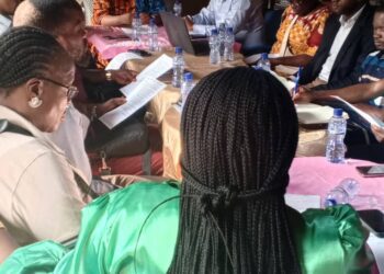 Kinshasa: le projet « POULE POUR TOUS » sera bientôt lancé officiellement dans la capitale congolaise