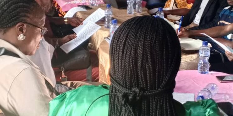 Kinshasa: le projet « POULE POUR TOUS » sera bientôt lancé officiellement dans la capitale congolaise