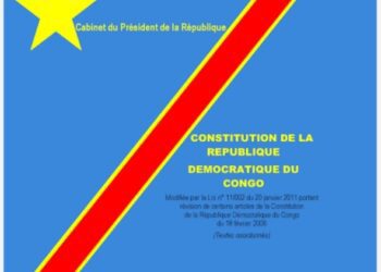 Sud-Kivu/RDC: Un acteur Socio-politique présente ses raisons de revoir la Constitution.