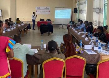 Sud-Kivu: Les Professionnels de Médias outillés par AFEM sur les articles clés du code minier révisé de la RDC