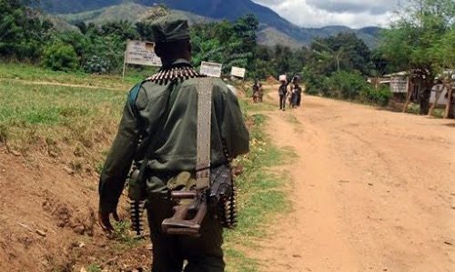Kalehe : Bilan définitif d’une incursion des bandits armés à Bihovu -Shanje