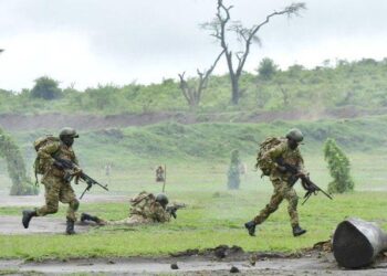 Nord-Kivu : Nouveaux affrontements entre la coalition FARDC-UPDF et les ADF près de la rivière Semuliki
