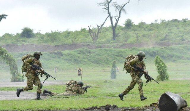 Nord-Kivu : Nouveaux affrontements entre la coalition FARDC-UPDF et les ADF près de la rivière Semuliki
