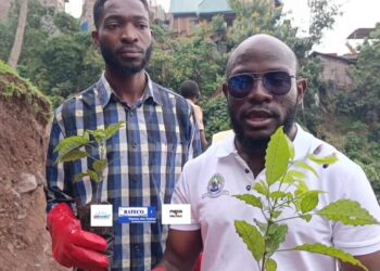 Bukavu : des jeunes s’engagent pour reverdir la terre malgré les défis sécuritaires