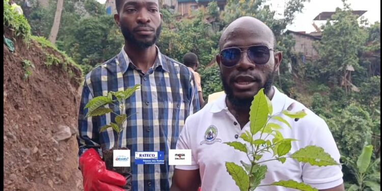 Bukavu : des jeunes s’engagent pour reverdir la terre malgré les défis sécuritaires