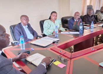 Sud-kivu – l’AFC-M23: Une rencontre stratégique pour susciter le renforcement des activités de développement local