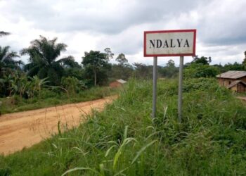 Est de la RDC/Eringeti, Luna et Ndalya: des agriculteurs retournent petit à petit dans leurs champs