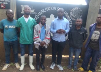 Sud-kivu/ Kabare: Aucun animal du CRSN Lwiro n’a été emporté ( Chef du département de la Biologie, CRSN Lwiro)