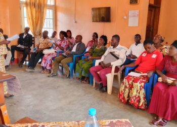 Mwenga: Un atelier de soutien aux couches sociales et leaders communautaires organisé à Luhwindja par l’IFEDD