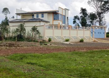 Sud Kivu : Des hommes en tenues militaires et en armes s’accaparent des chèvres d’autrui à Kamisimbi