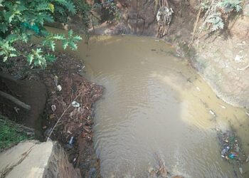 Bukavu : Un corps sans vie d’un homme retrouvé jeté dans un caniveau à côté de la fondation Panzi