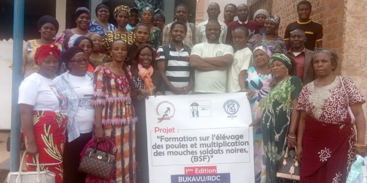 Bukavu: Au-moins 150 personnes formées sur l’élevage des poules par O.M.A.R asbl