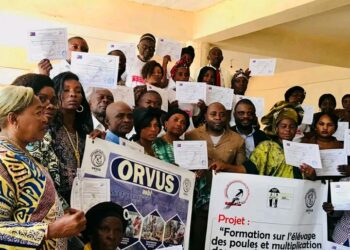Bukavu : L’asbl O.M.A.R décerne des brèvets de fin de formation à 150 personnes après une formation sur l’élevage des poules
