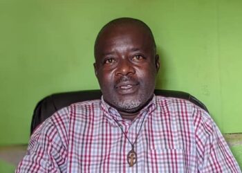 Sud Kivu: Albert Jomba interpelle sur l’abatage illicite des arbres et prévient contre d’éventuelles conséquences environnementales