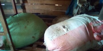 Kabare: Deux sacs de chanvre intercepté à Mudusa par les membres de l’équipe de l’administrateur du territoire sous l’AFC-M23