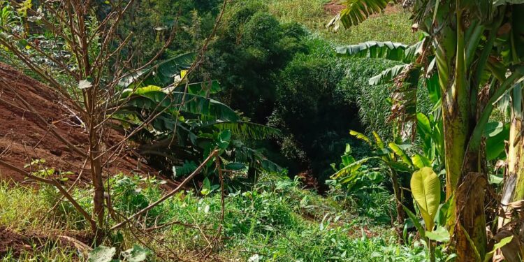 Kabare: la NDSCI Mudusa dénonce un réseau de ventes illicites de terrains et interpelle les autorités