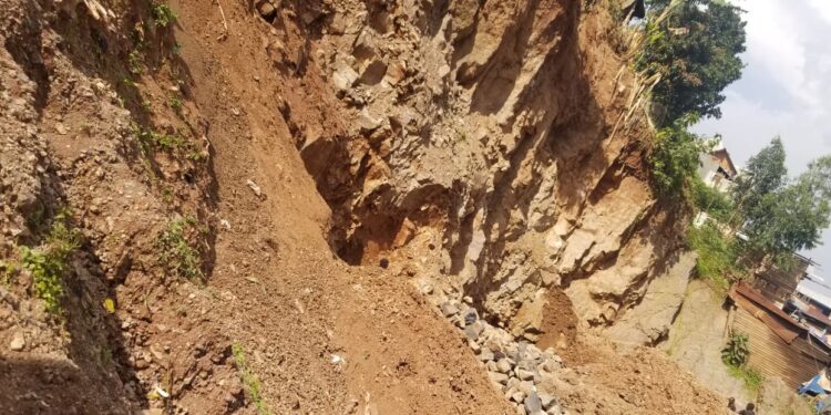 Image d'illustration