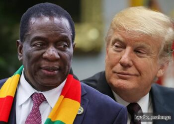 Santé : Aide conditionnée, le Zimbabwe dit non aux millions des États-Unis