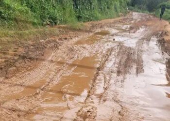 Bukavu-kaziba: la société civile alerte sur la dégradation alarmante de la route et ses conséquences socio-économiques