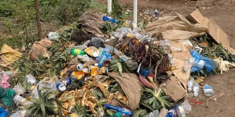 Journée mondiale du recyclage : un appel urgent à l’action face à la crise des déchets à Bukavu