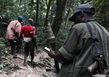 Sud-Kivu : une incursion armée signalée à Mwenga plonge la population dans la panique