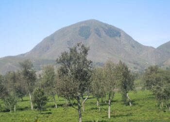 Walungu/Luciga : deux jeunes d’une même famille tués ce mardi lors d’une opération du M23 contre les wazalendo