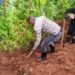 Kabare/Mumosho: le Point Focal Mugisho Muniangali Patient intensifie la mobilisation des jeunes pour la sécurité et le vivre-ensemble