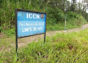 Nord-Kivu : un prêtre et un jeune couple enlevés dans le parc des Virunga