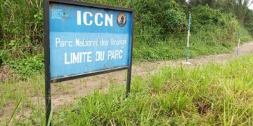 Nord-Kivu : un prêtre et un jeune couple enlevés dans le parc des Virunga